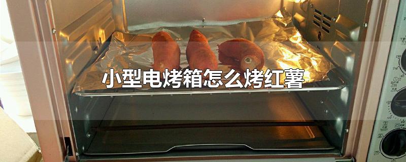 小型电烤箱怎么烤红薯