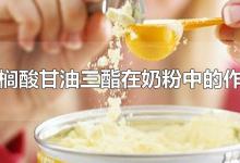 棕榈酸甘油三酯在奶粉中的作用