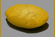 Flash绘制教程：教你绘制一个逼真的土豆
