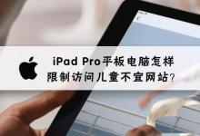 iPad Pro平板访问限制在哪?