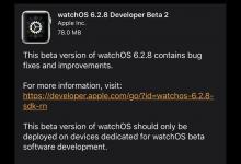 苹果watchOS 6.2.8开发者预览版Beta2推送 提升系统稳定性