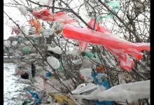 塑料袋对人类健康和环境有怎样的危害