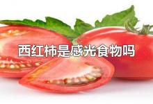 西红柿是感光食物吗