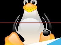 Linux操作系统支持常用的文件系统有哪些？