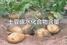 土豆碳水化合物含量